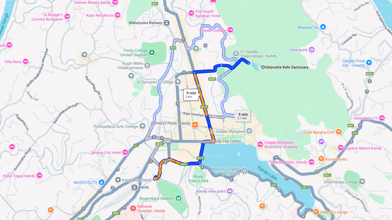 Udawattakele metsakaitseala matk Kandyst