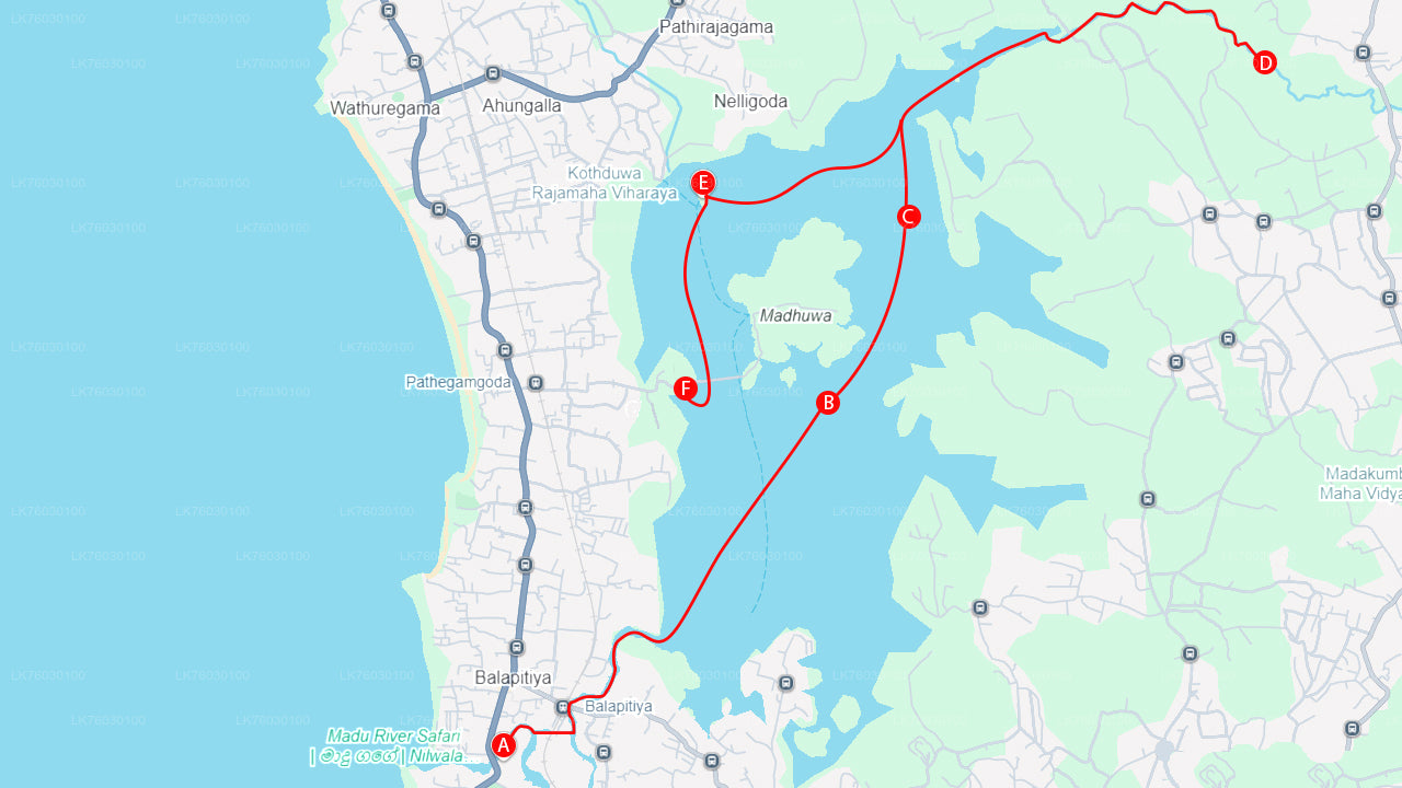 Madu jõe paadisõidusafari