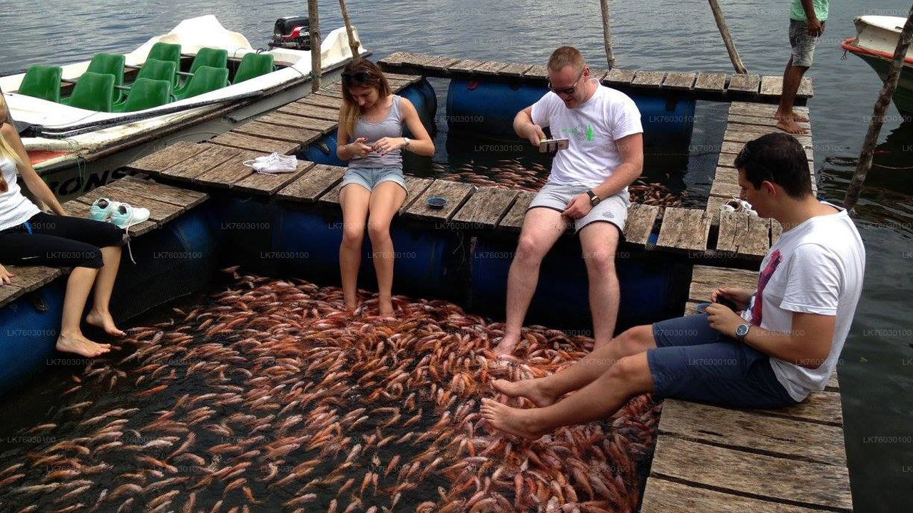 Madu jõe paadisõidusafari