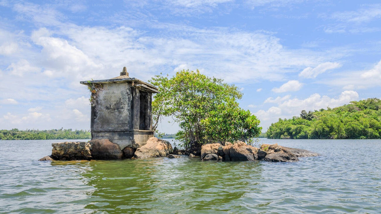 Madu jõe paadisõidusafari