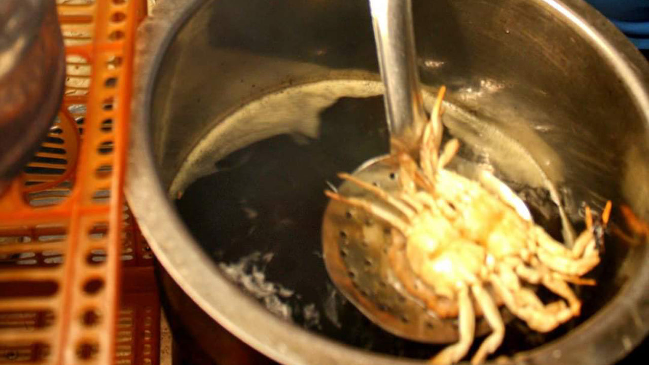 Tänavatoidu jalgrattatuur Colombost