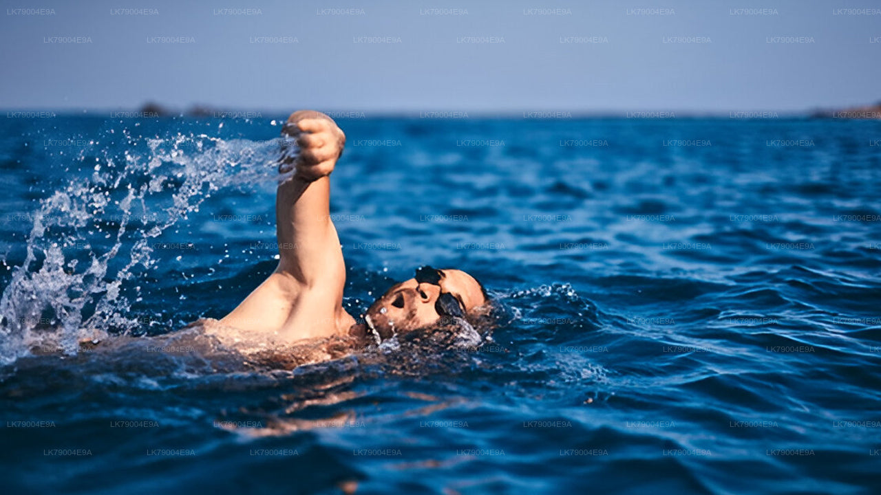 3-tunnine jagatud päikeseloojangukruiis Galle'ist