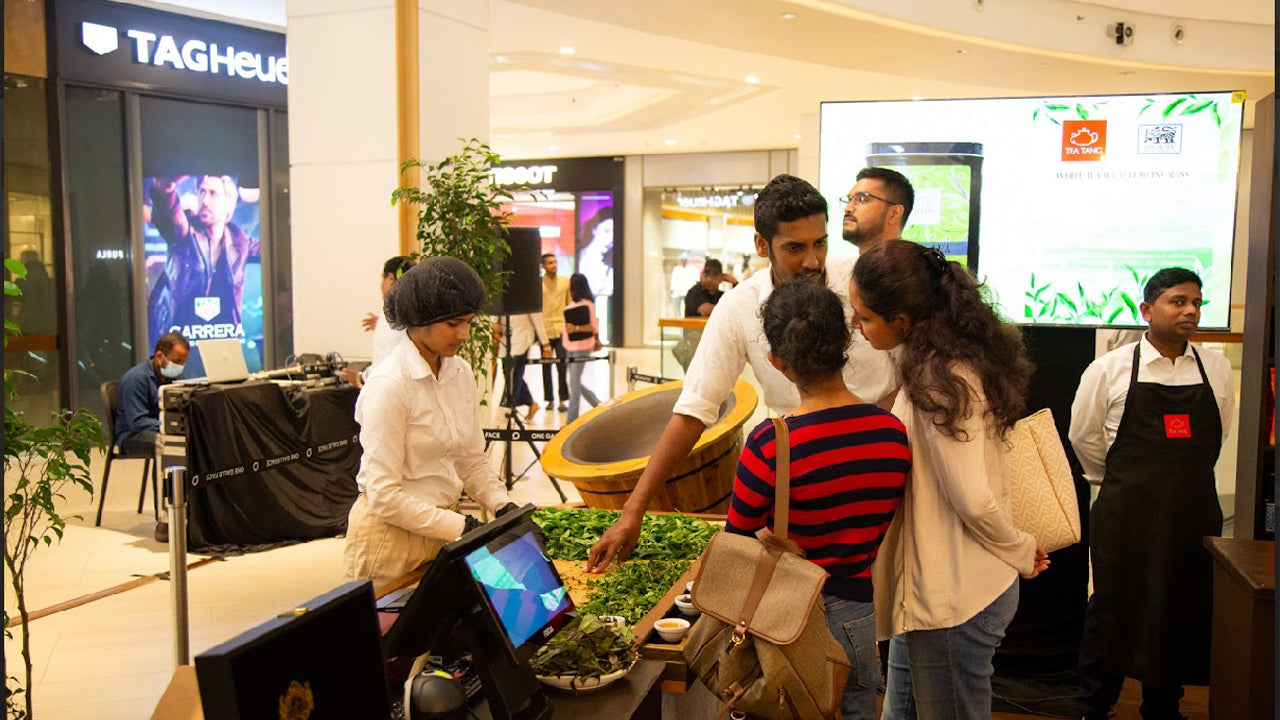 Ceylon Tea Tasting from Colombo Port City