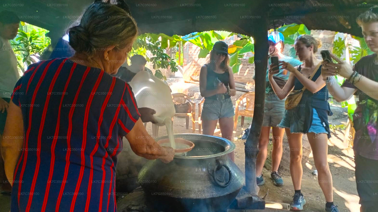 Kohupiima töötlemise kogemus Tissamaharamast