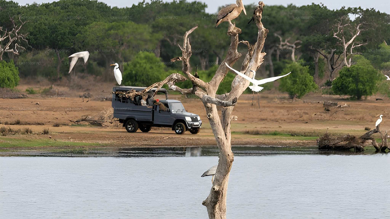 Bundala rahvuspargi safari Hambantota sadamast