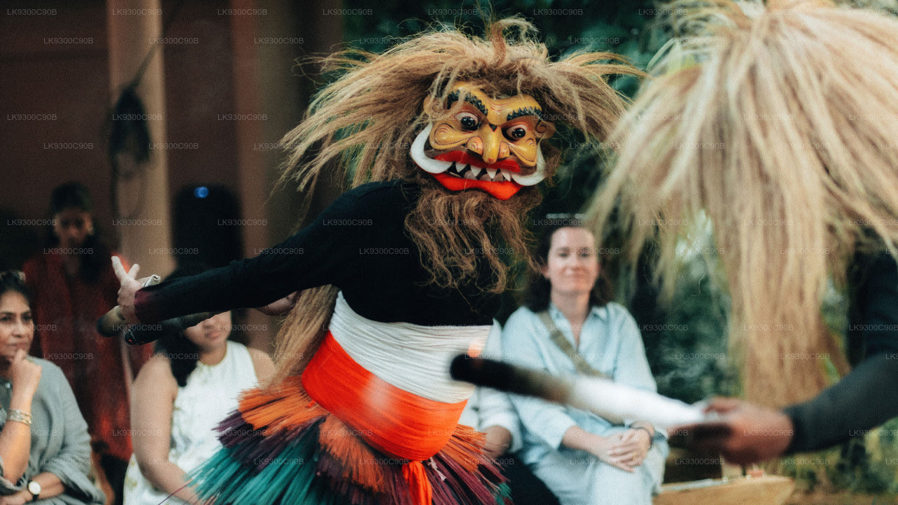 Person in a lion dance costume performing in front of an audience.