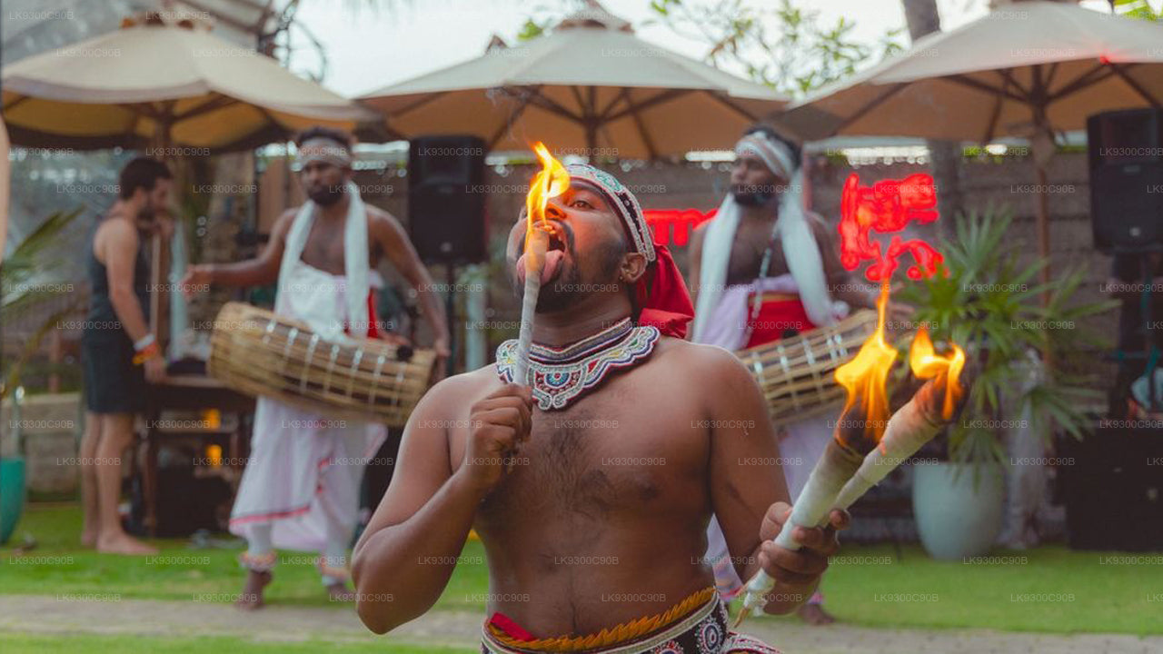 Man performing with fire at an outdoor event with other people and umbrellas in the background.
