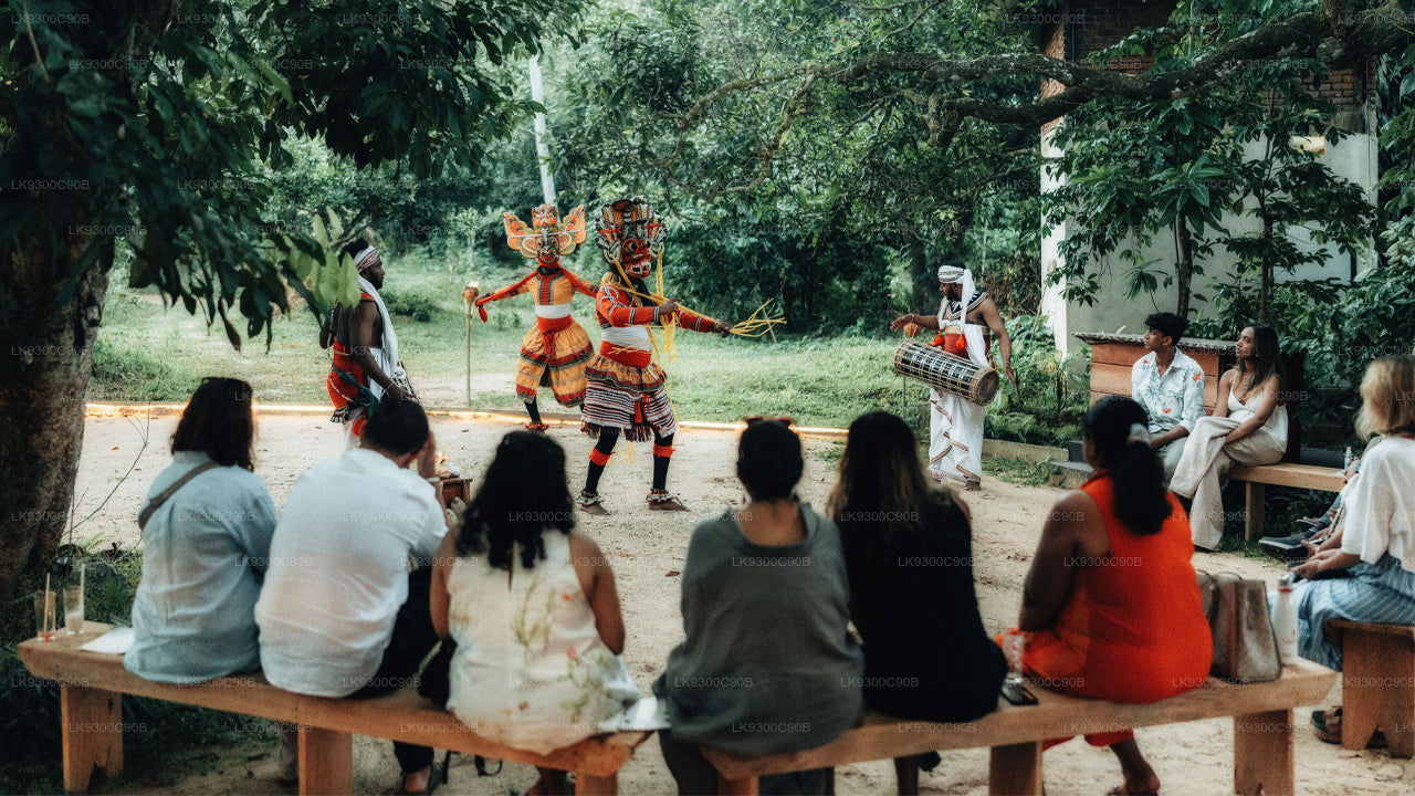 Traditional dance performance with audience in a natural setting