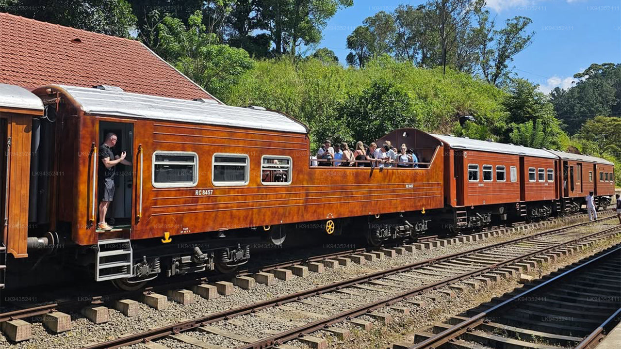 Calypso Tourist Train Ride