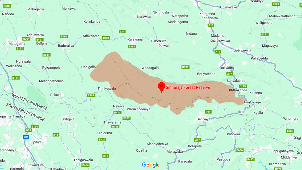 Sinharaja vihmametsa seiklusreis