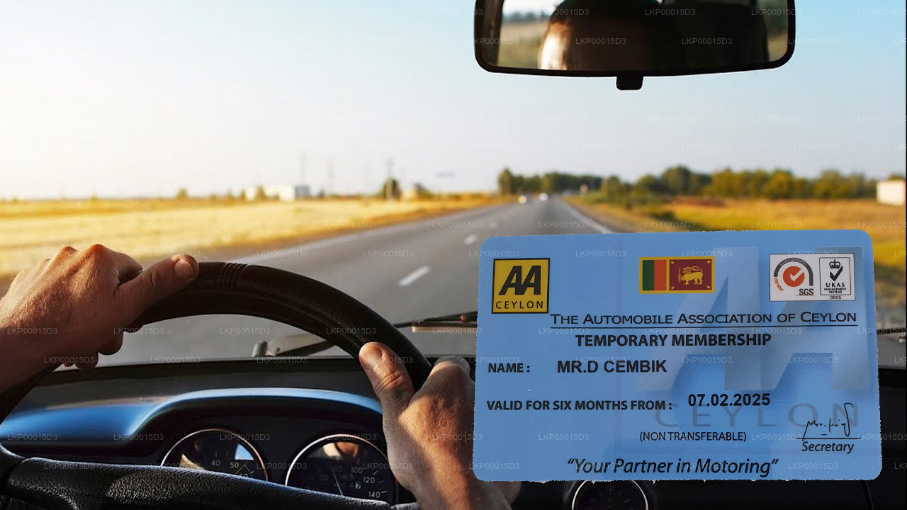 Ajutine juhiluba välismaalastele