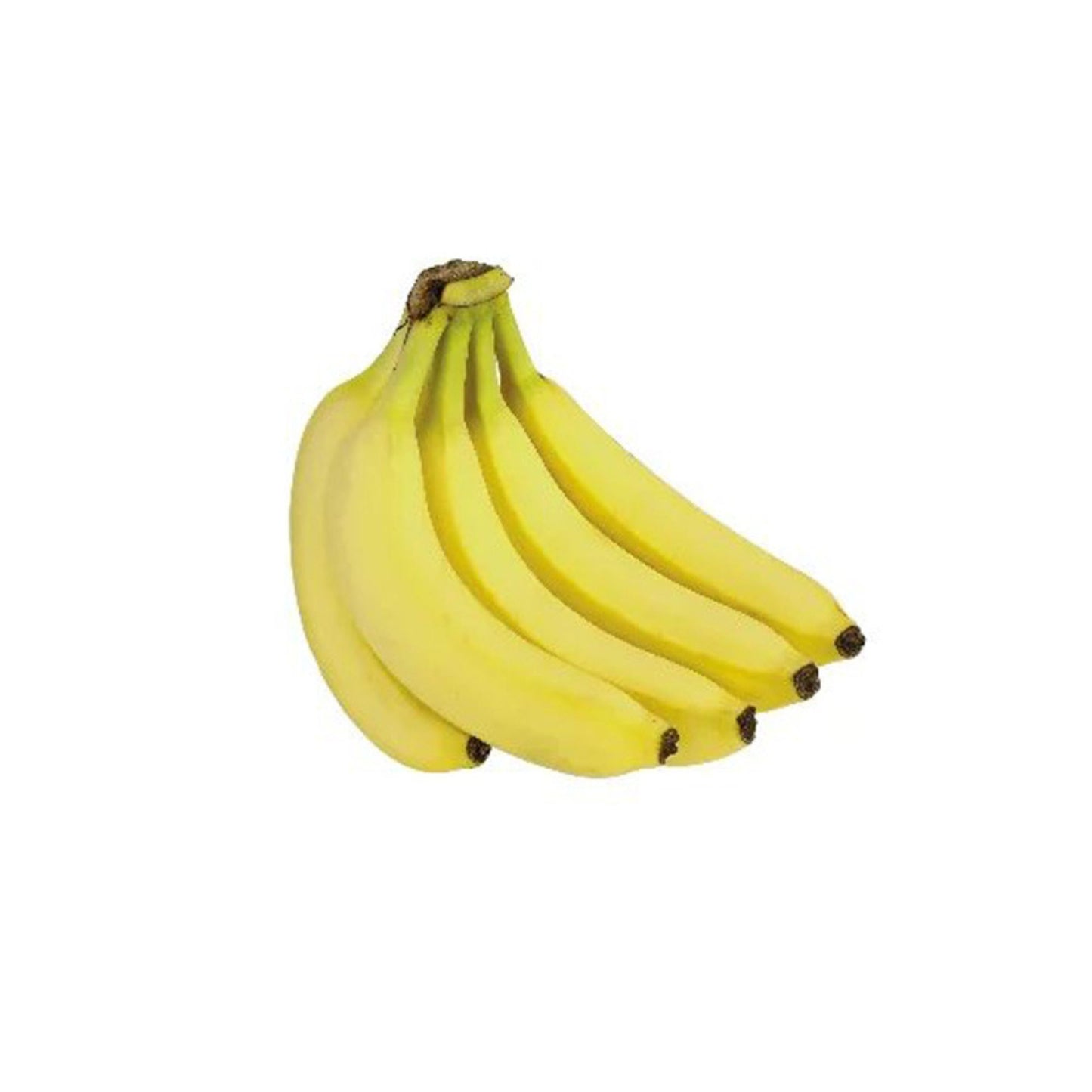 Lakpura® Ambun Banana Plant