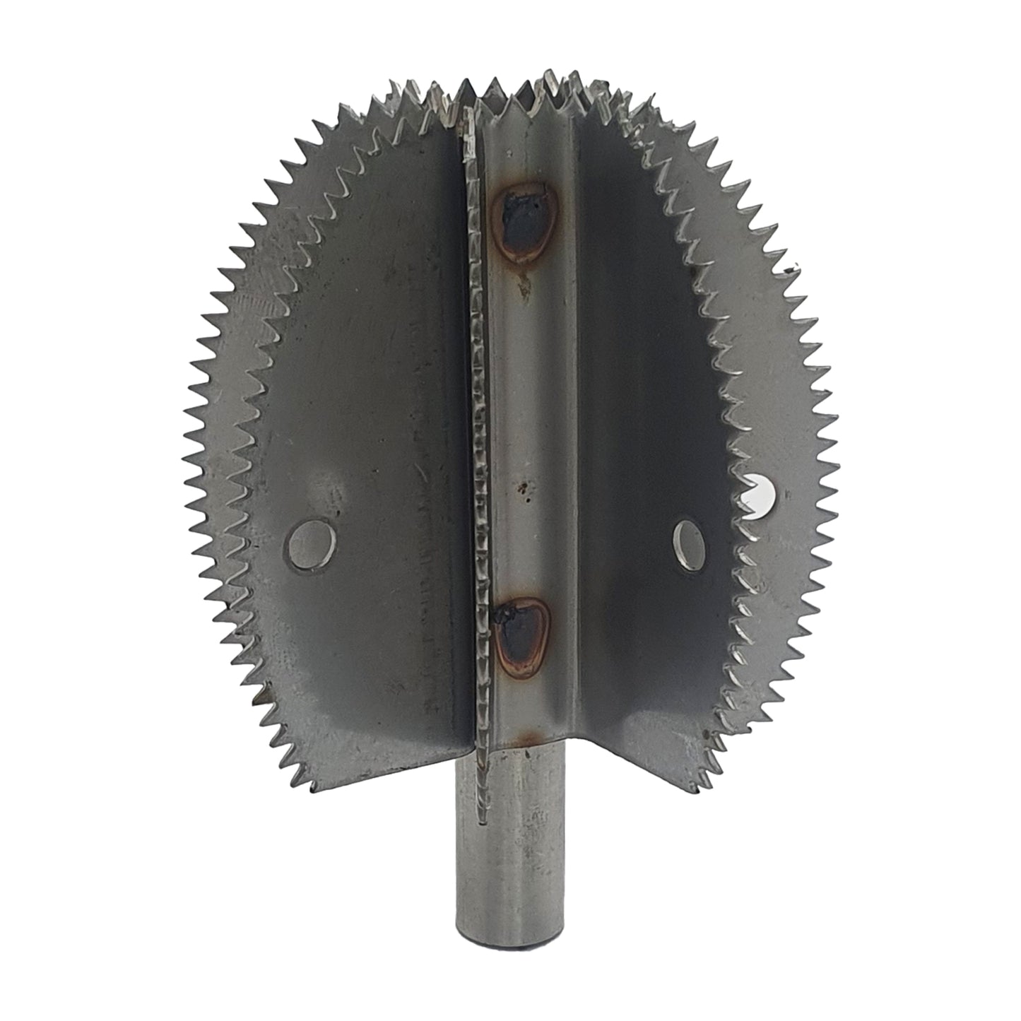 Odiris kookospähkli kaabitsa vahetustera