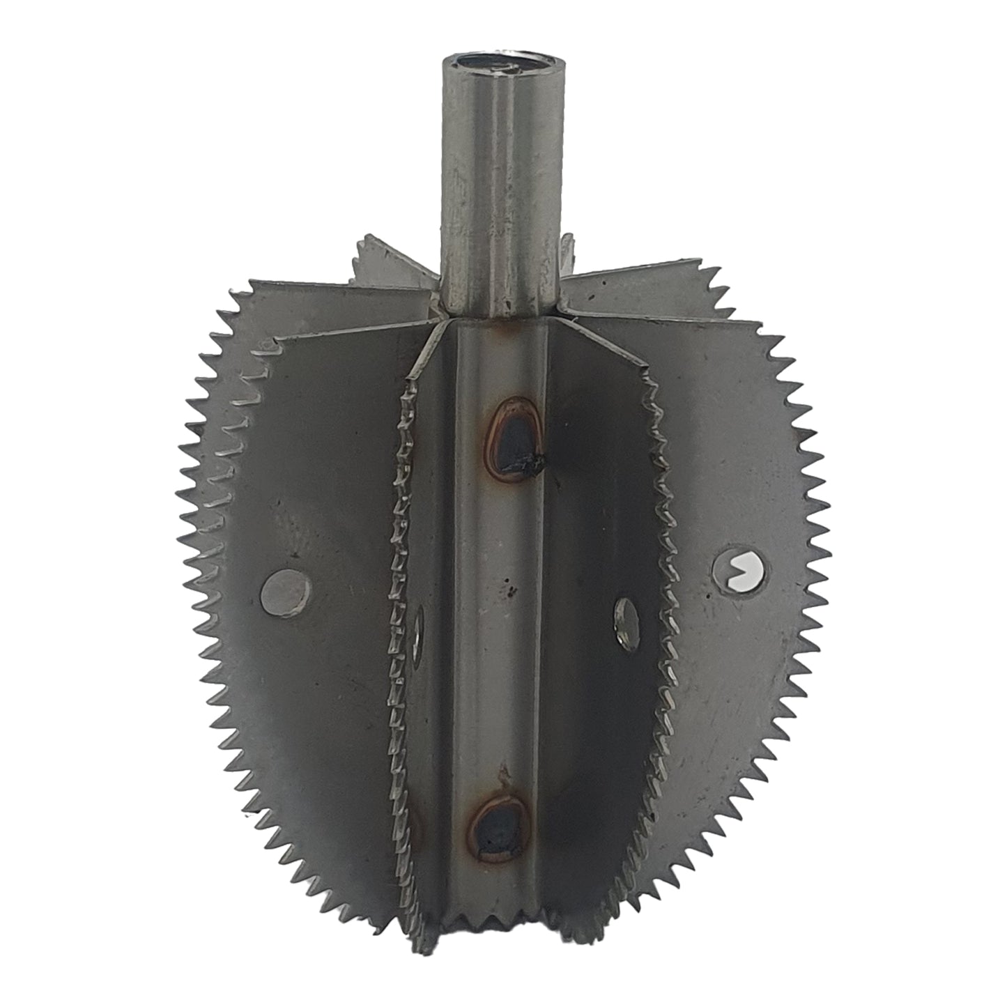 Odiris kookospähkli kaabitsa vahetustera