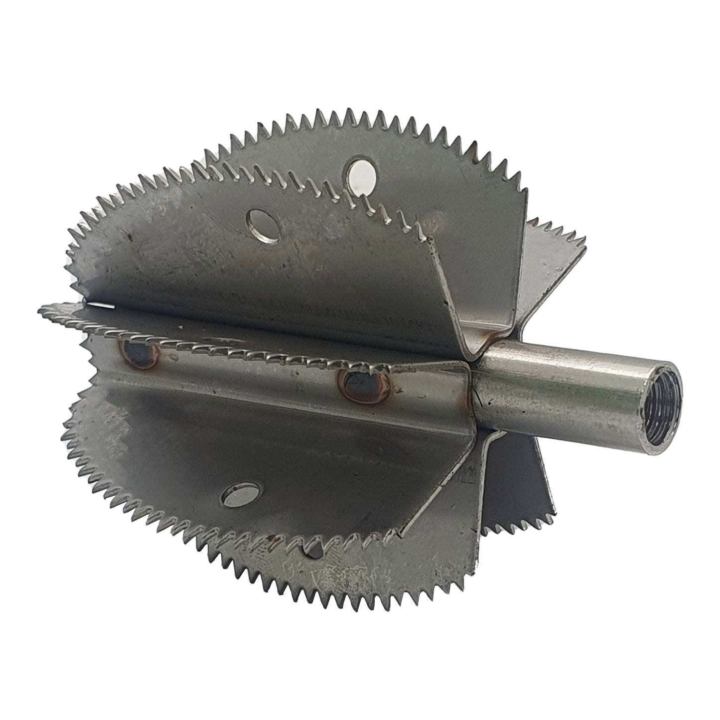 Odiris kookospähkli kaabitsa vahetustera