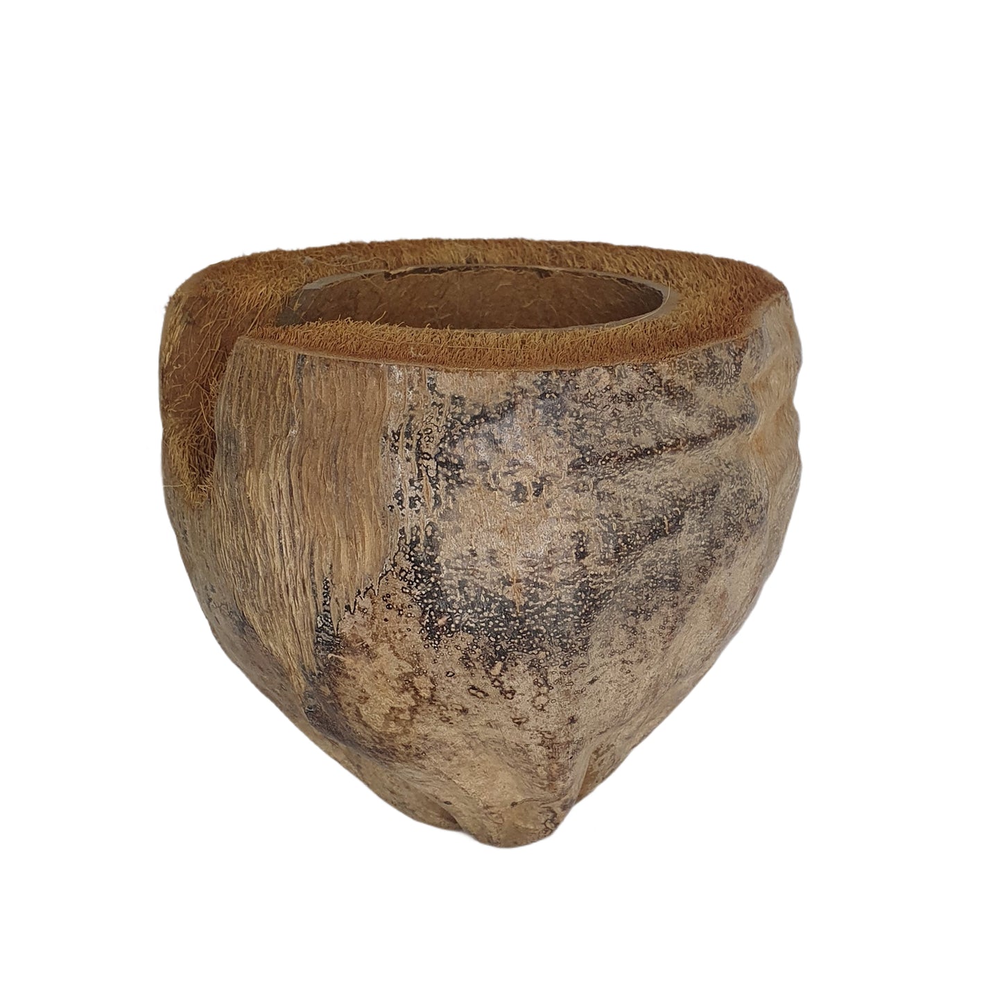 Bivenro Natural 3/4 Cocoa Hideout With Husk design (Free Size)