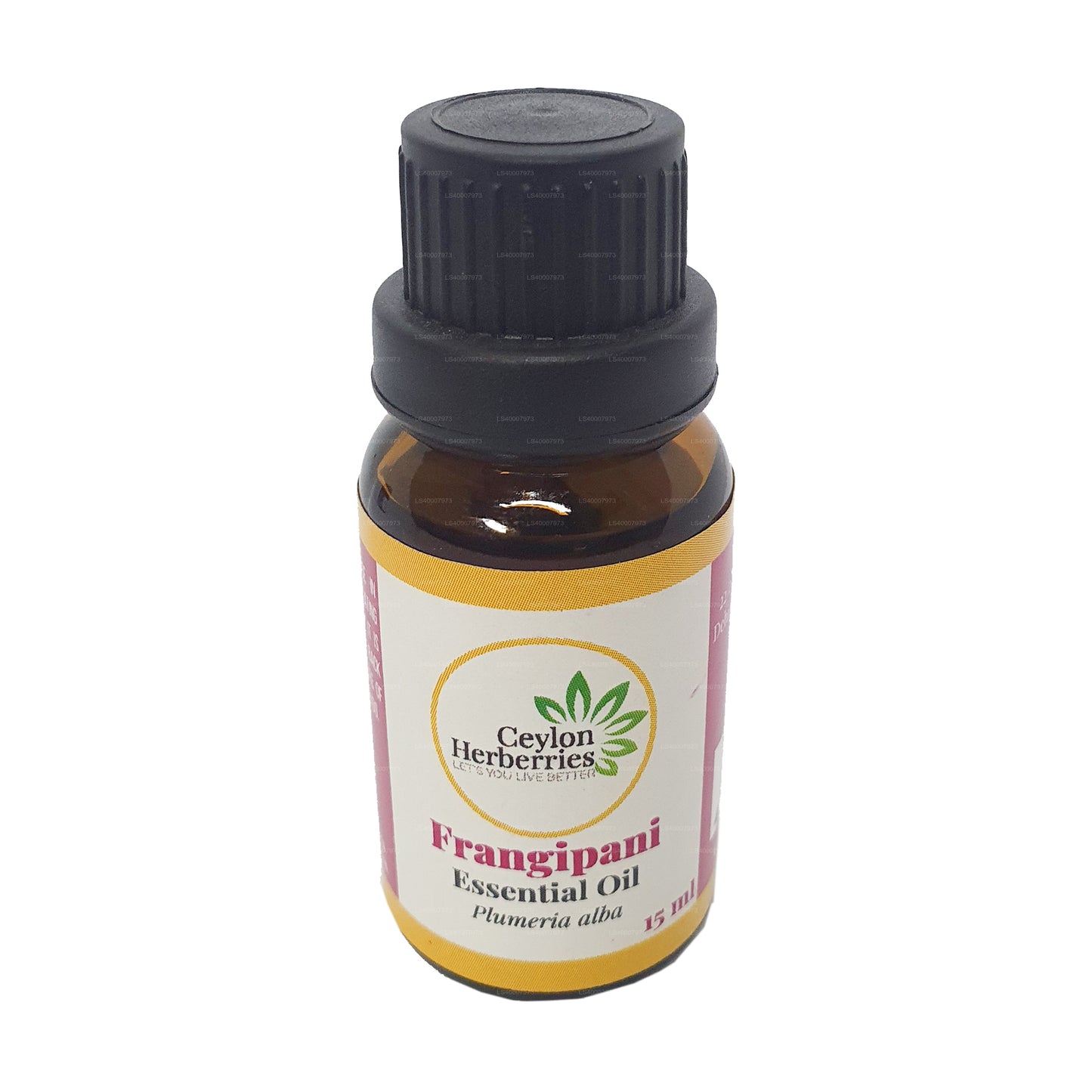 Ceylon Herberries Frangipani Essential oil (Plumeria alba) 15ml