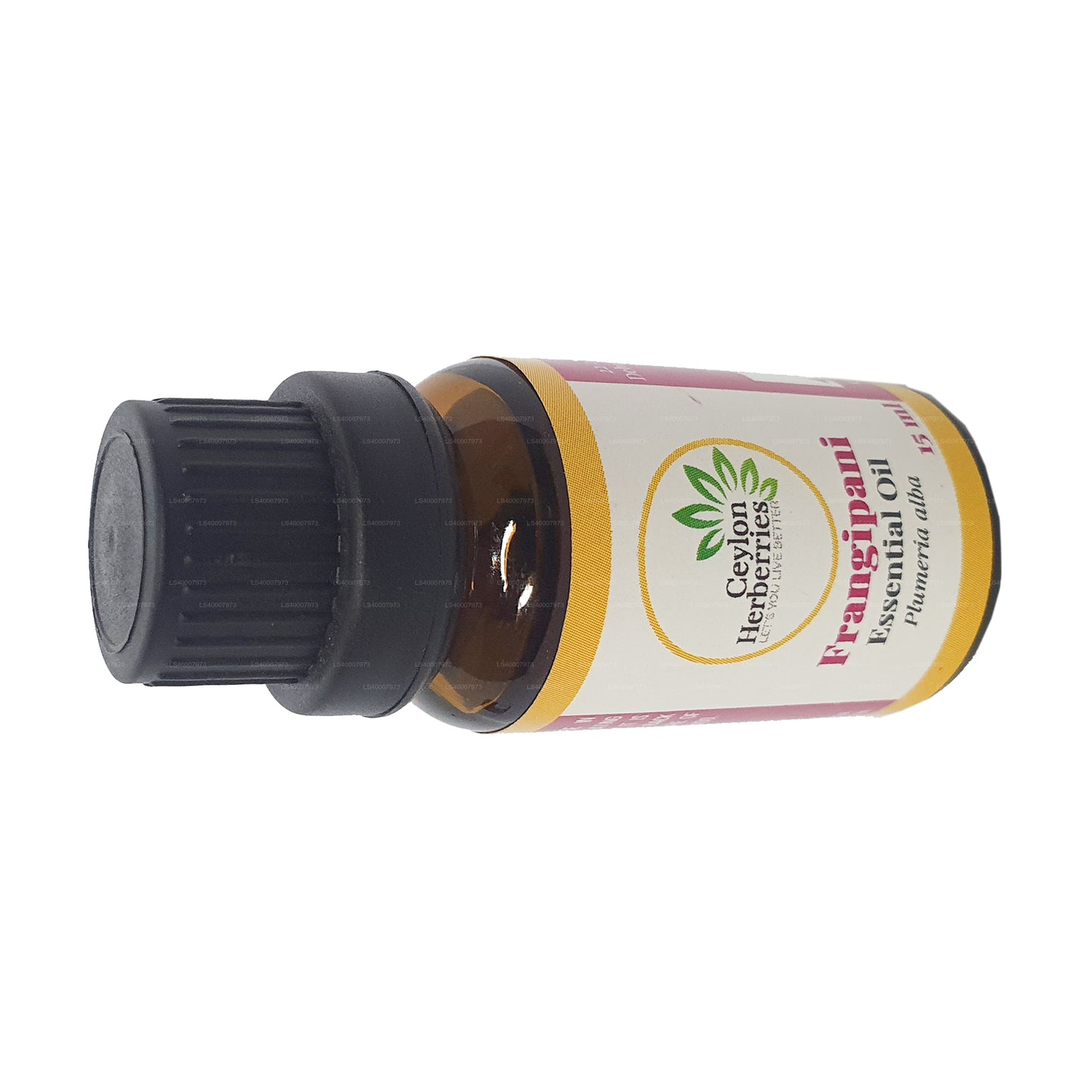 Ceylon Herberries Frangipani Essential oil (Plumeria alba) 15ml