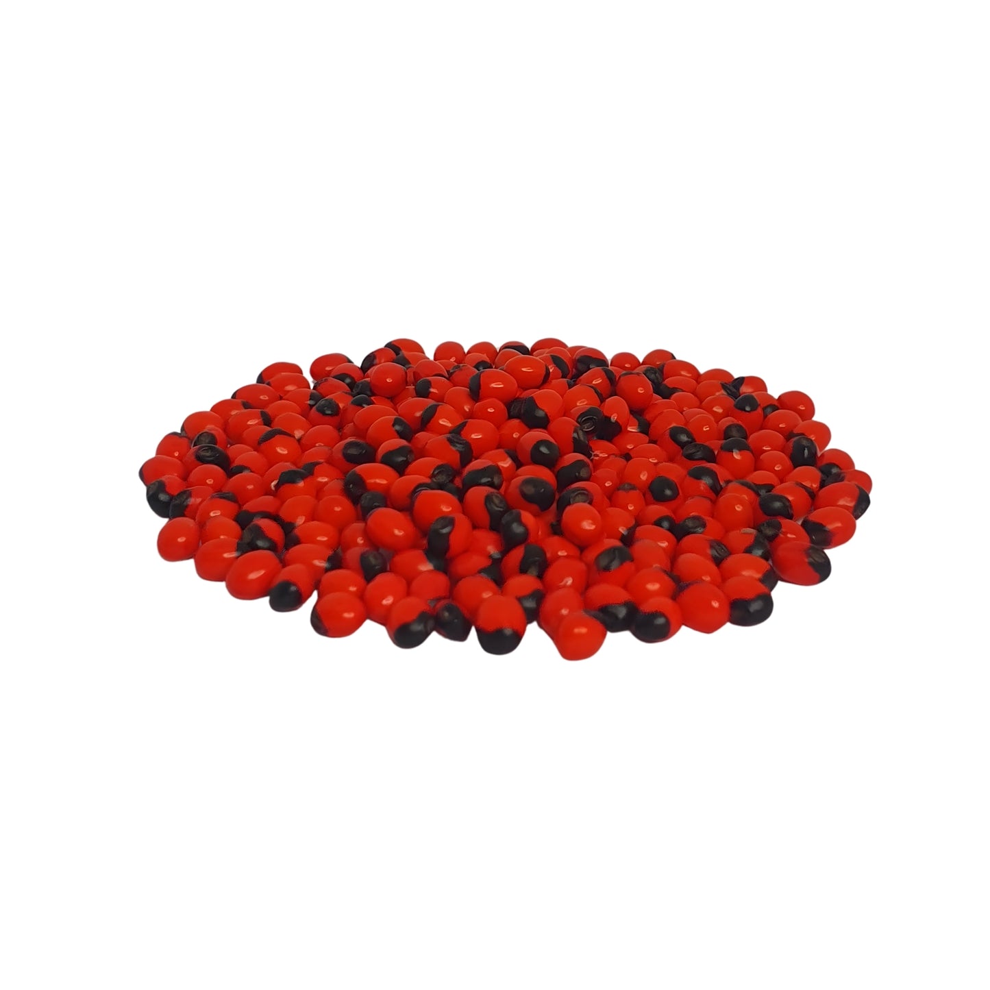 Lakpura® Olinda (Moroccan Abrus) Seeds