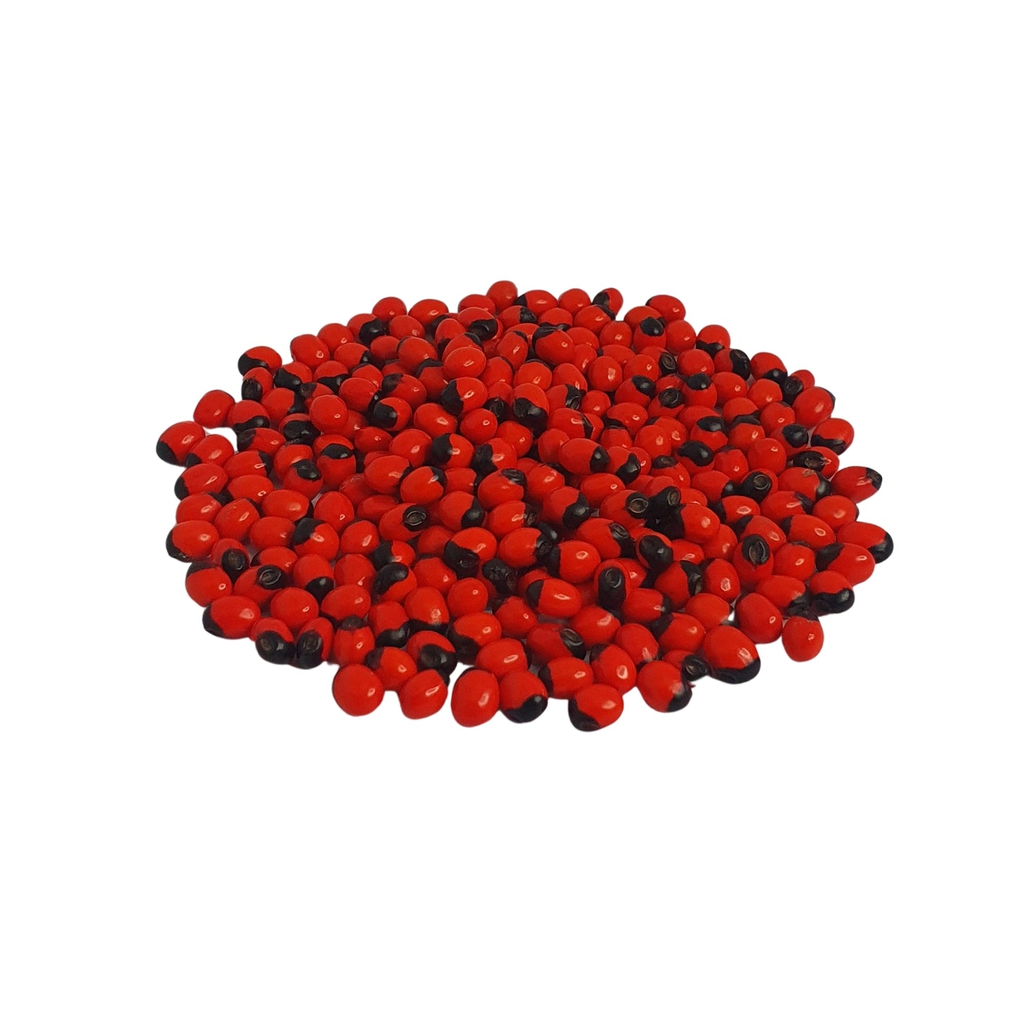 Lakpura® Olinda (Moroccan Abrus) Seeds