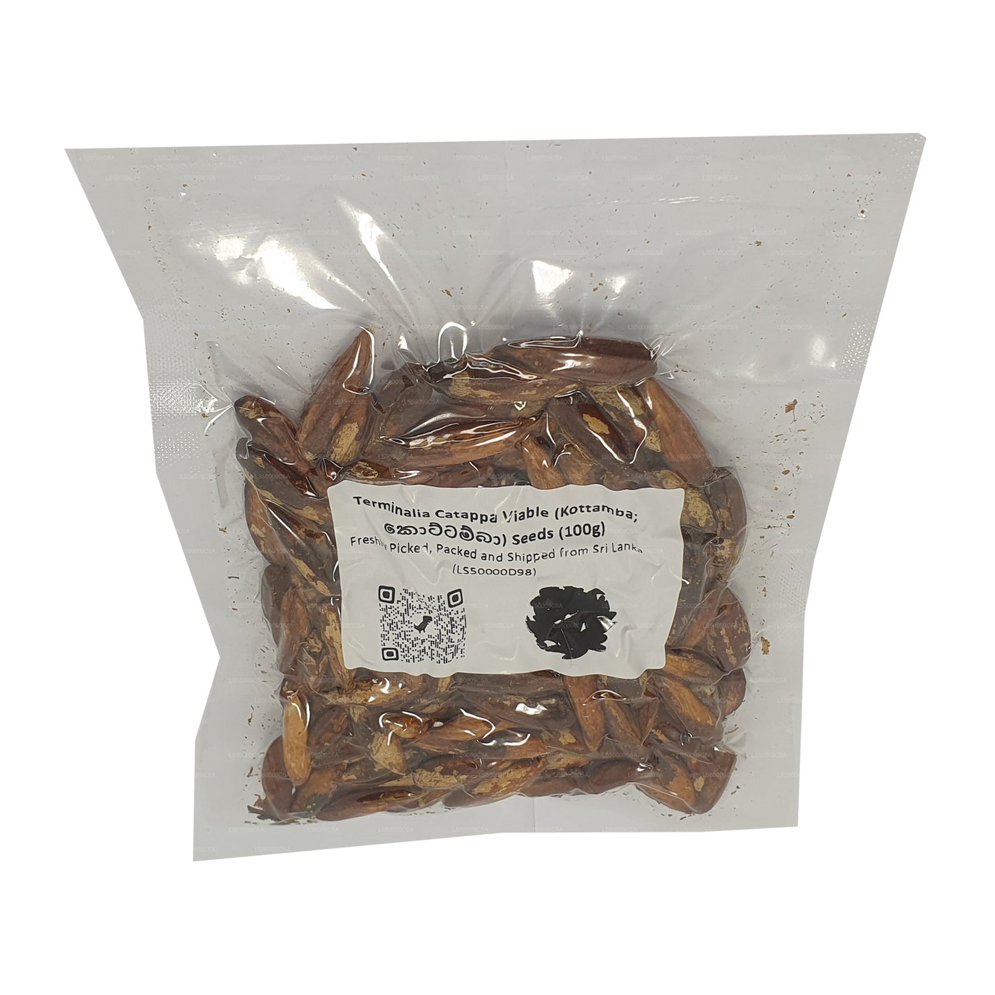 Lakpura® Terminalia Catappa elujõulised (Kottamba) seemned