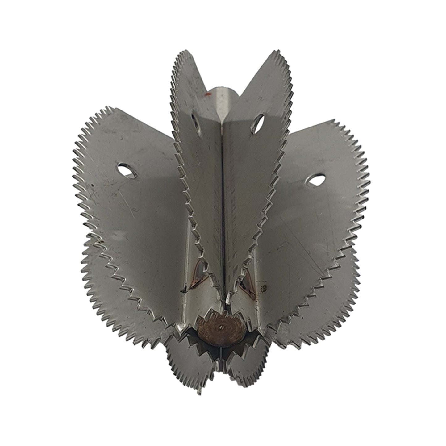 Odiris kookospähkli kaabitsa vahetustera