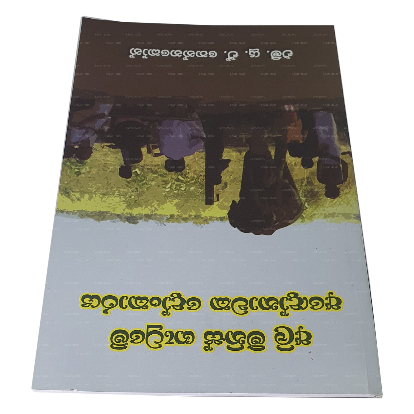 Ali Minis Gatume Adonawaka Donkaraya