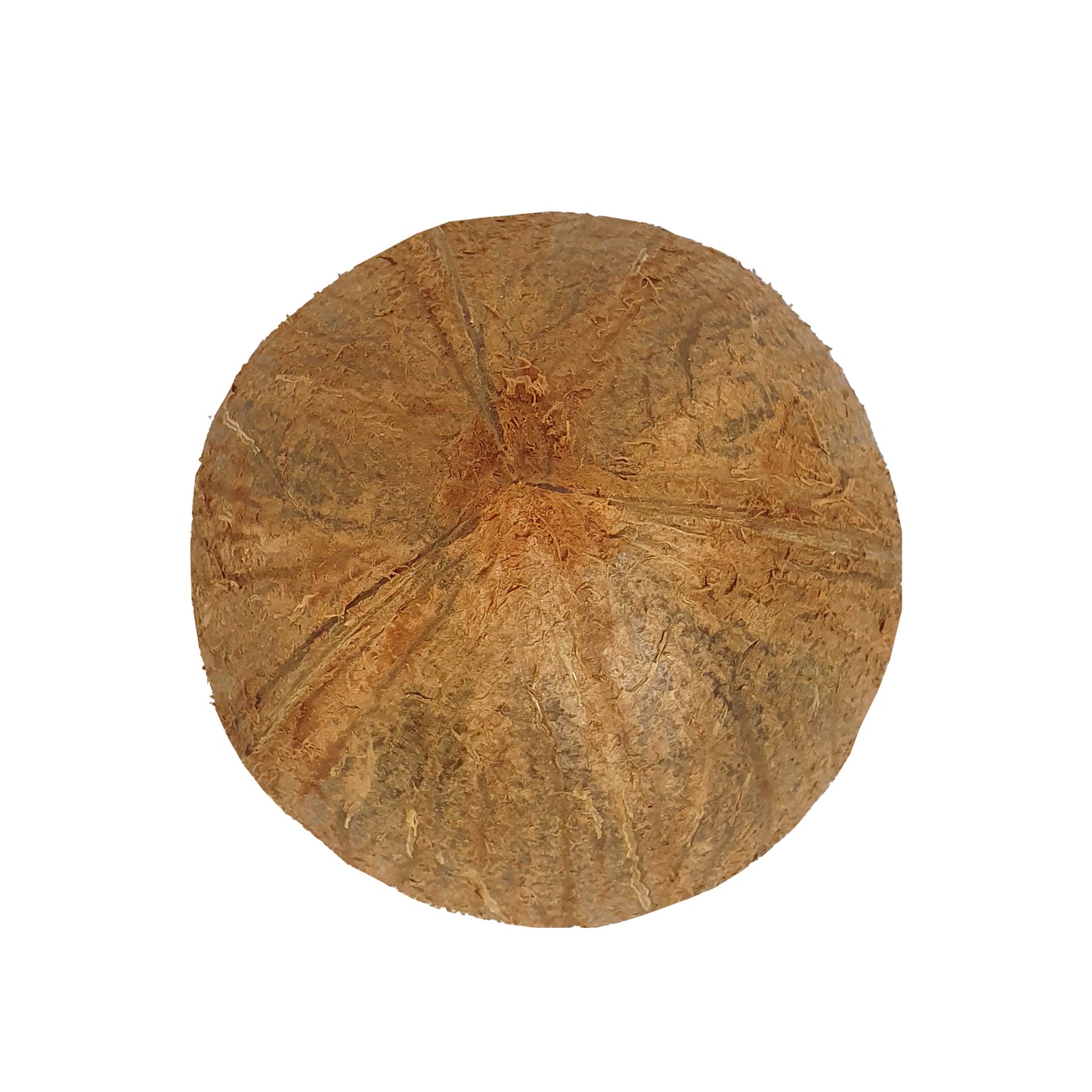 Lakpura® kookospähklikoore pooled