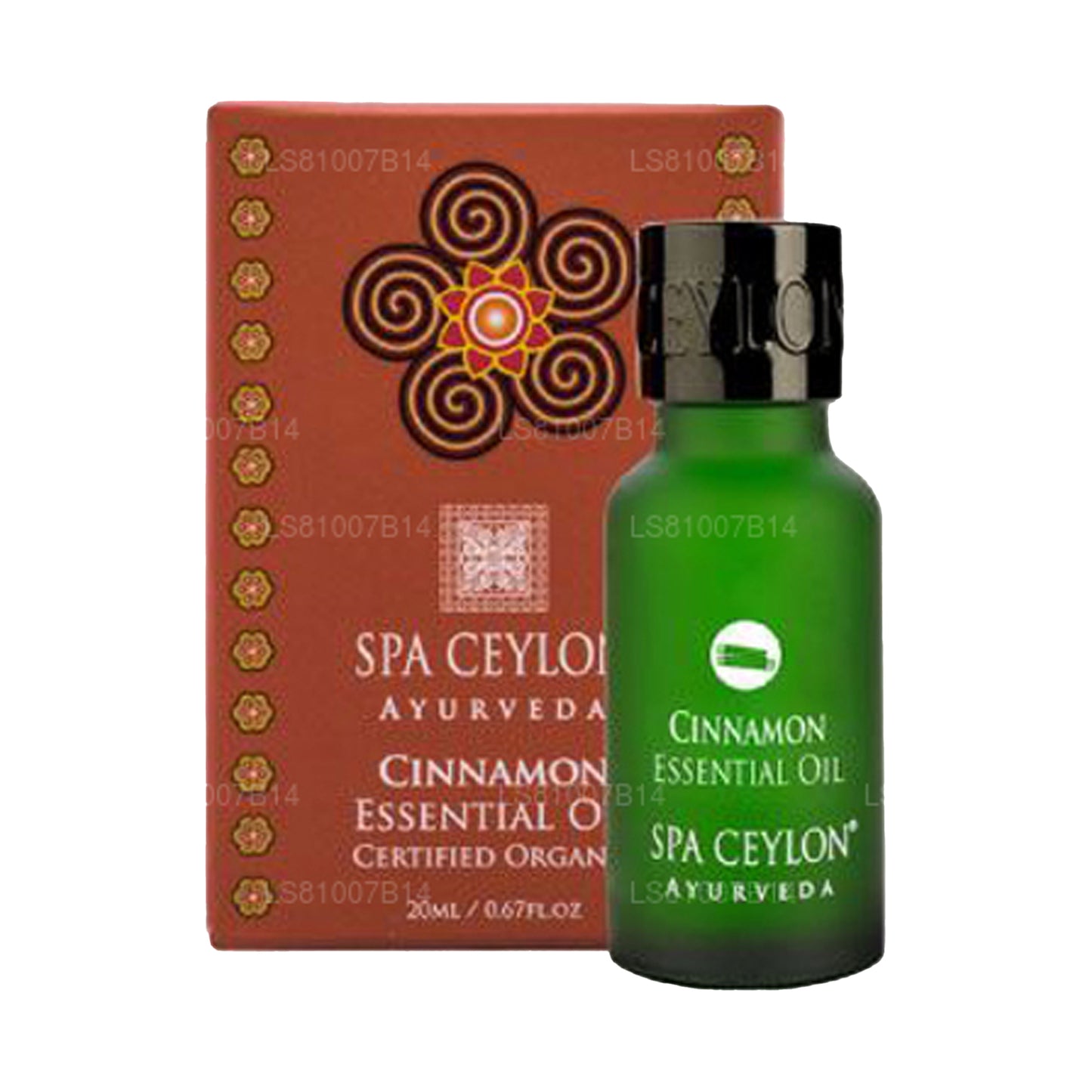 Spa Ceylon Cinnamon - Essential Oil (20ml)
