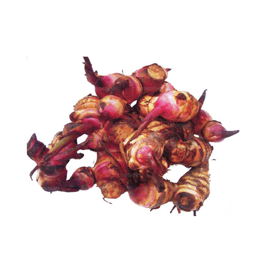 Lakpura® Buthsarana Ala