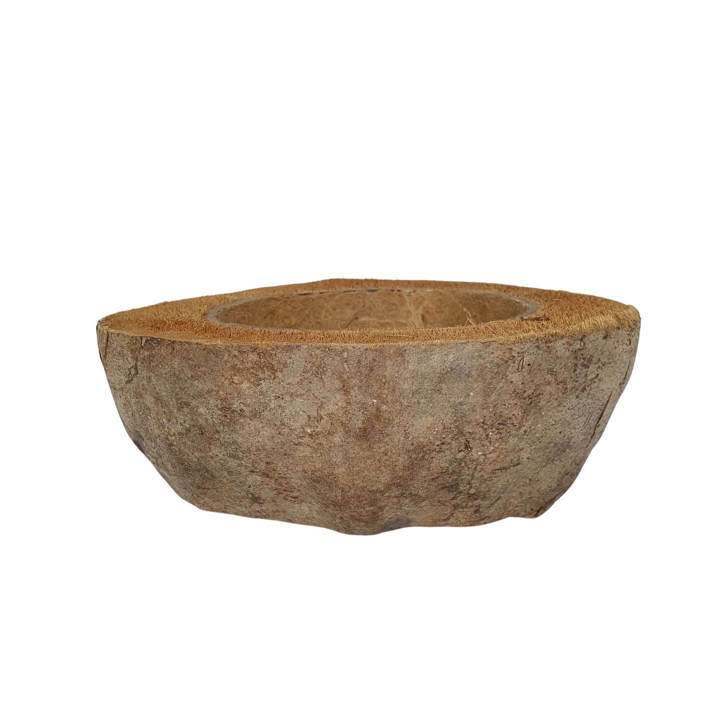 Bivenro Natural Coconut Planting Pot Design (Free Size)