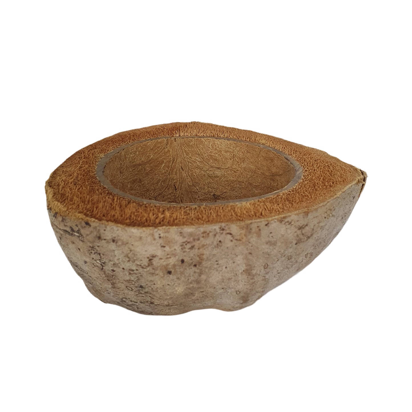 Bivenro Natural Coconut Planting Pot Design (Free Size)