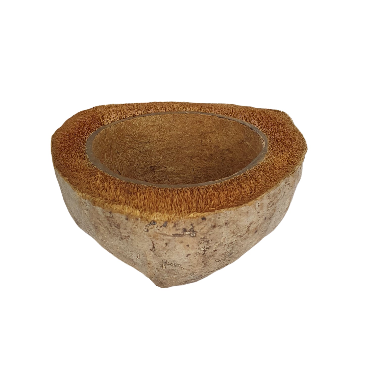 Bivenro Natural Coconut Planting Pot Design (Free Size)