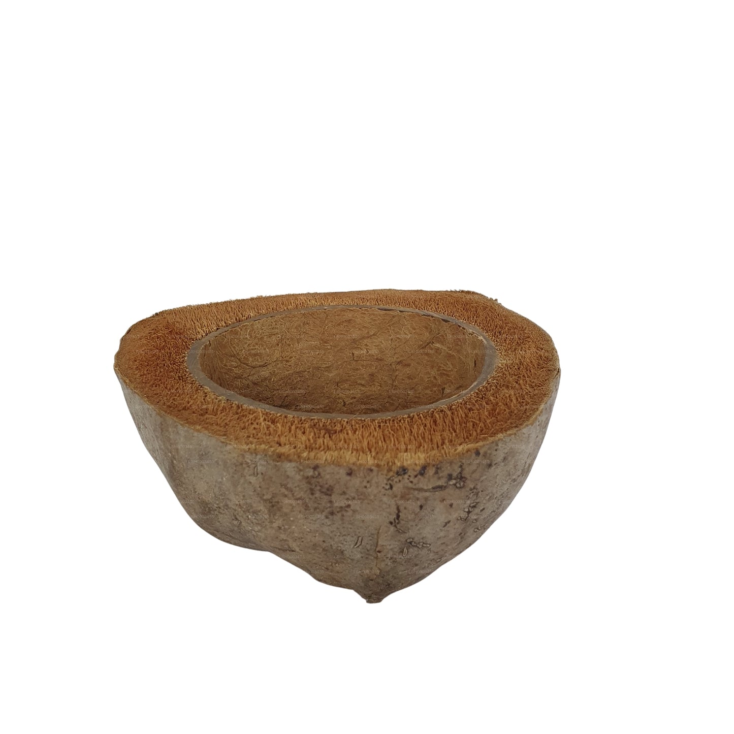 Bivenro Natural Coconut Planting Pot Design (Free Size)