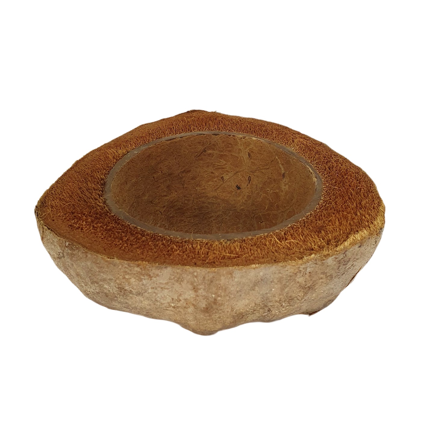 Bivenro Natural Coconut Planting Pot Design (Free Size)