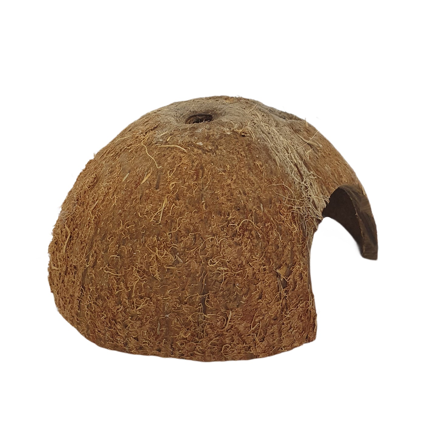 Bivenro Natural 1/2 Coconut Shell Cave (Free Size)