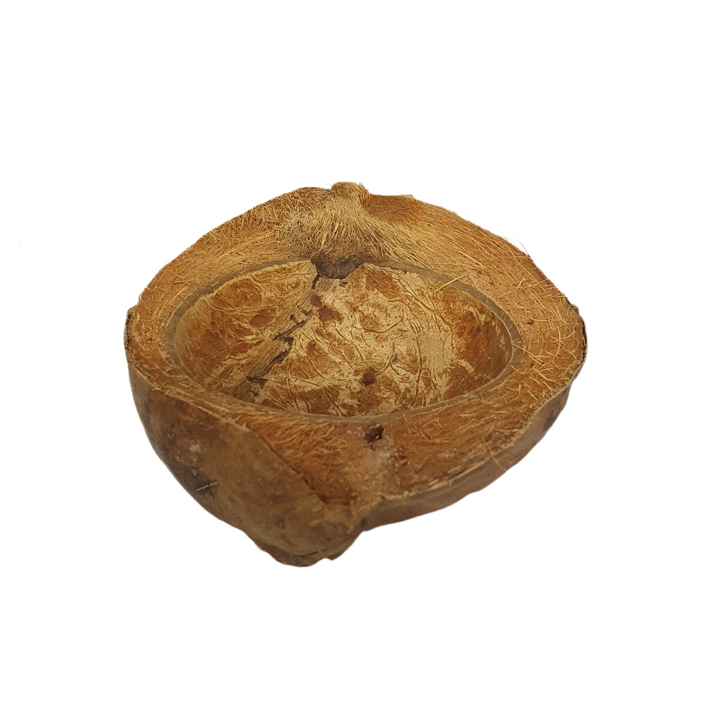 Bivenro Natural Coconut Pet Bowl Design (Free Size)