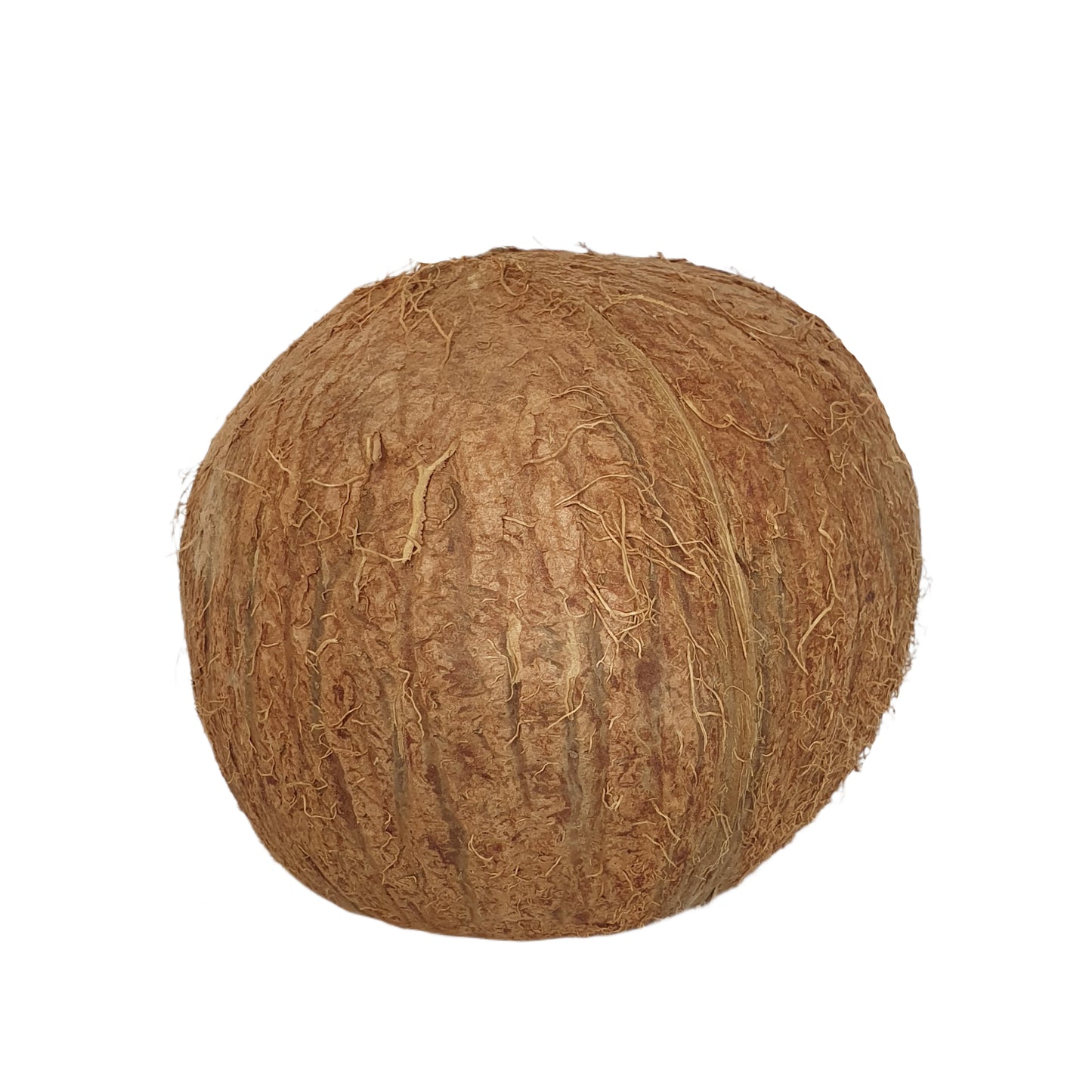 Bivenro Natural 3/4 Coconut Shell Cave (Free Size)