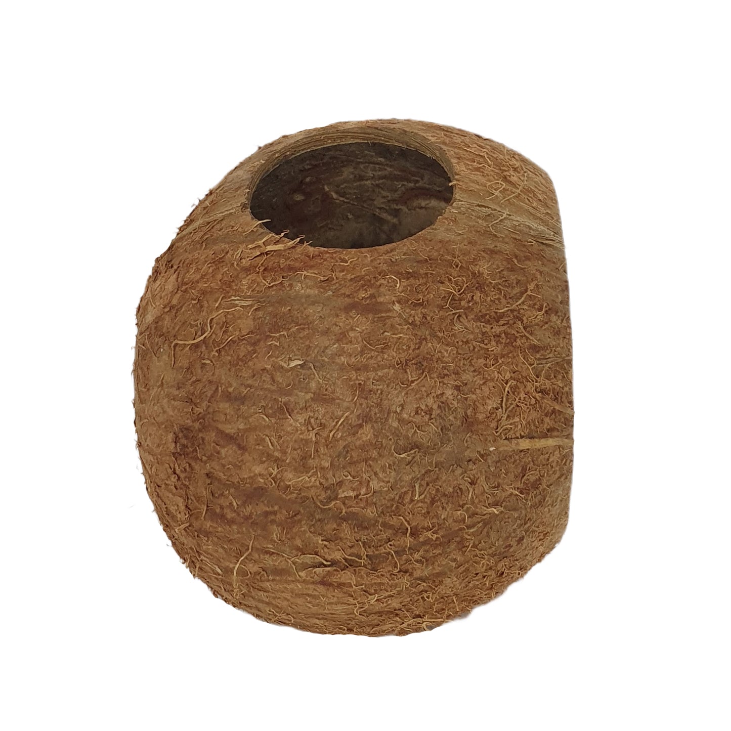 Bivenro Natural 3/4 Coconut Shell Cave (Free Size)
