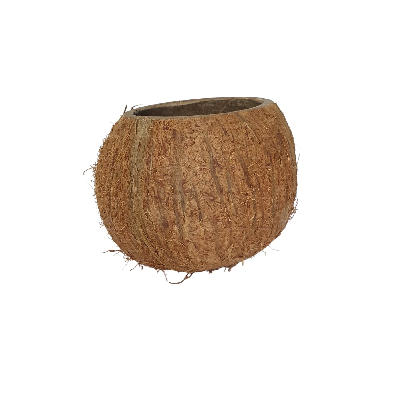 Bivenro Natural 3/4 Coconut Shell Cave (Free Size)