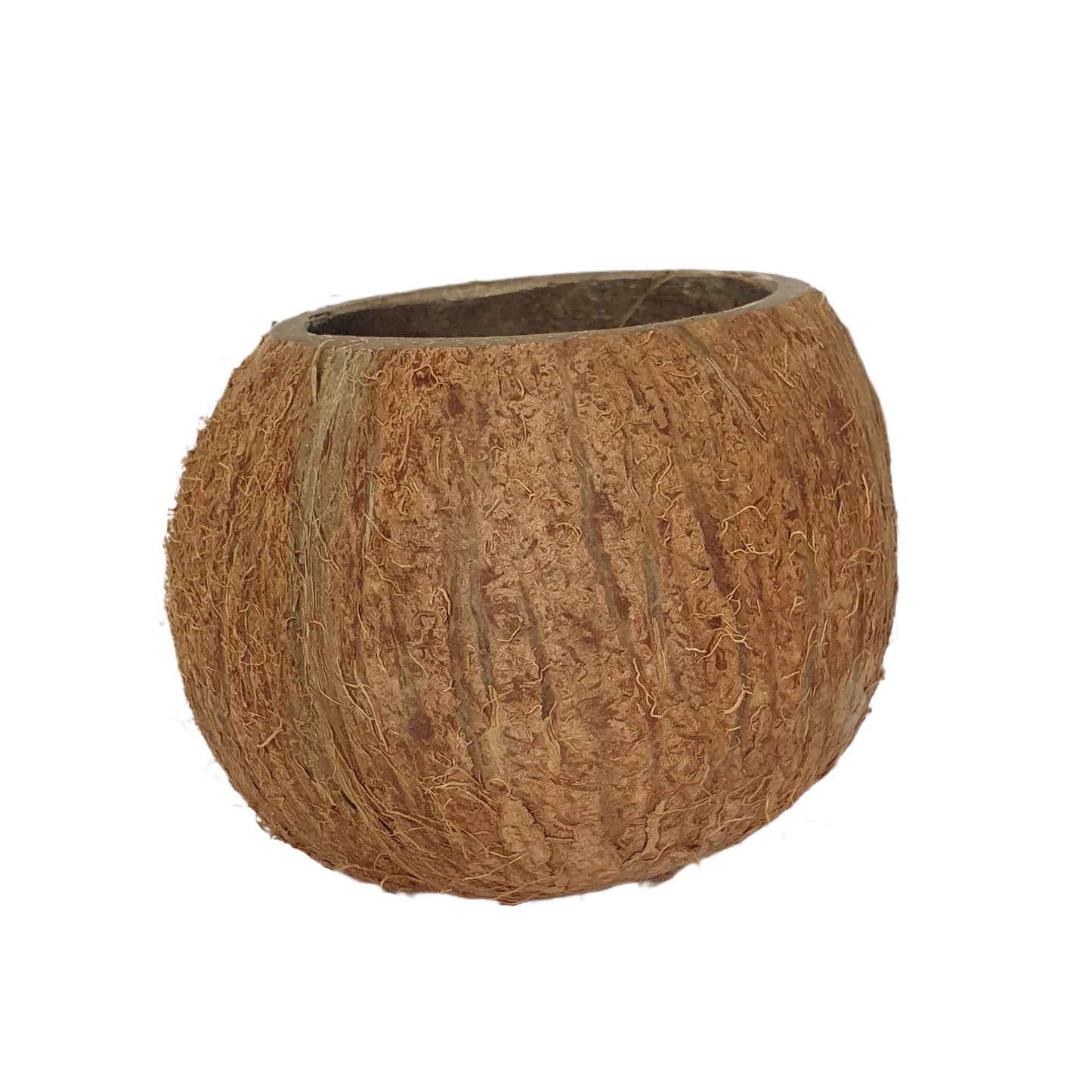 Bivenro Natural 3/4 Coconut Shell Cave (Free Size)