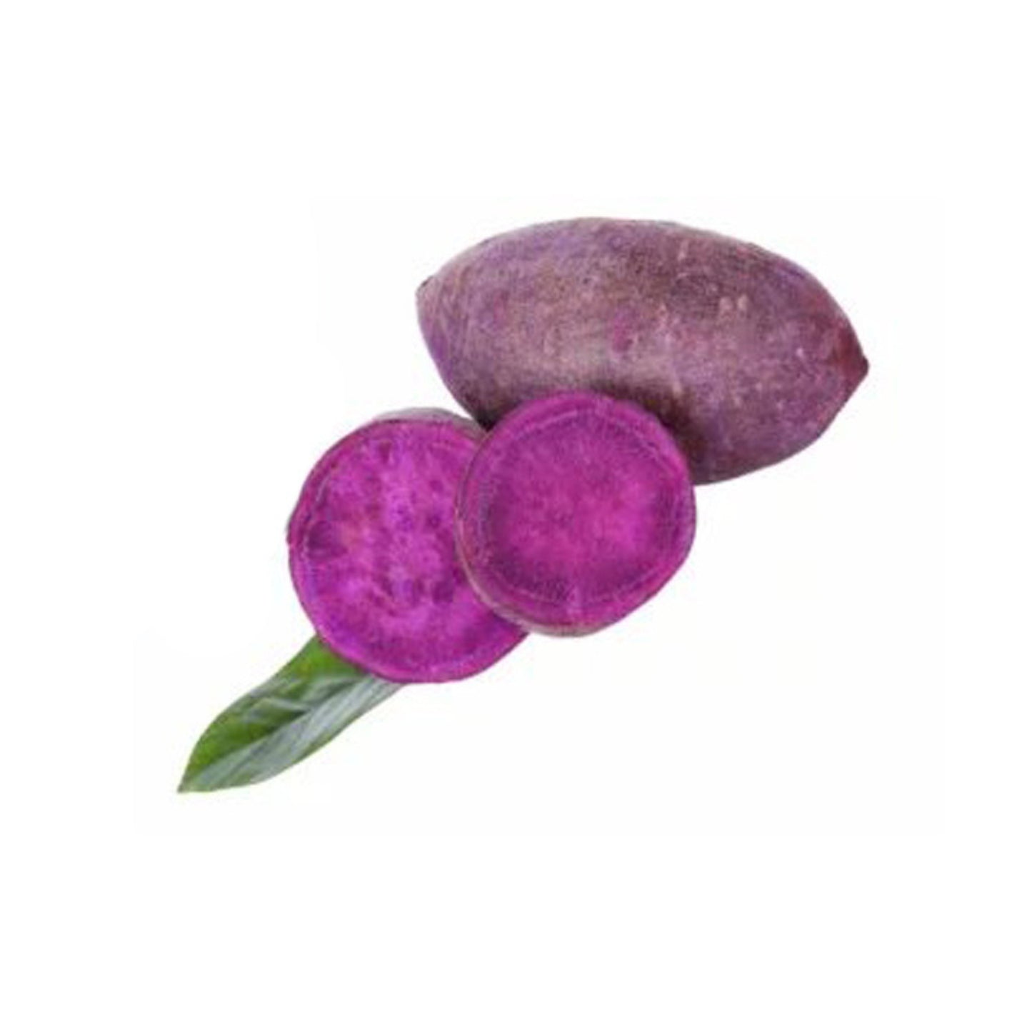 Lakpura Purple Sweet Potato Plant