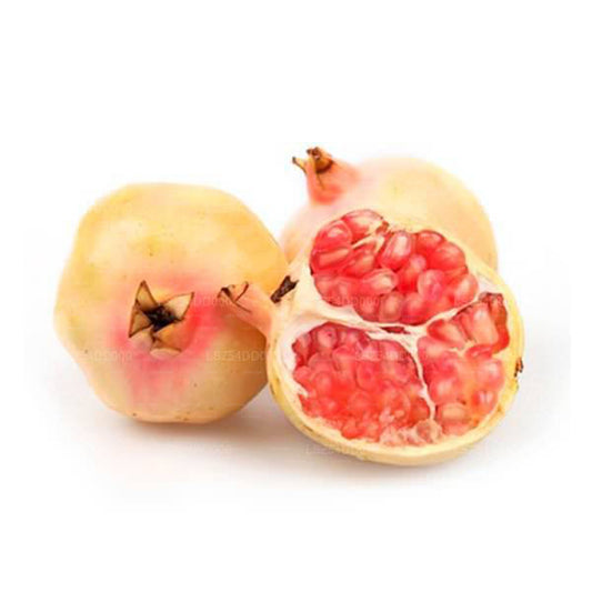 Lakpura Pomegranate (Delum) Pink