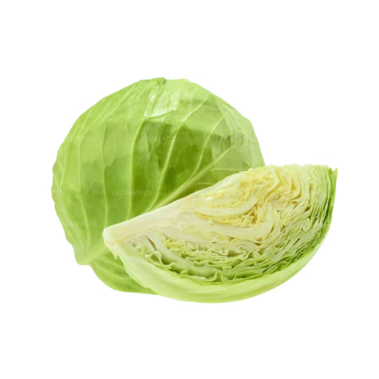 Lakpura® Cabbage