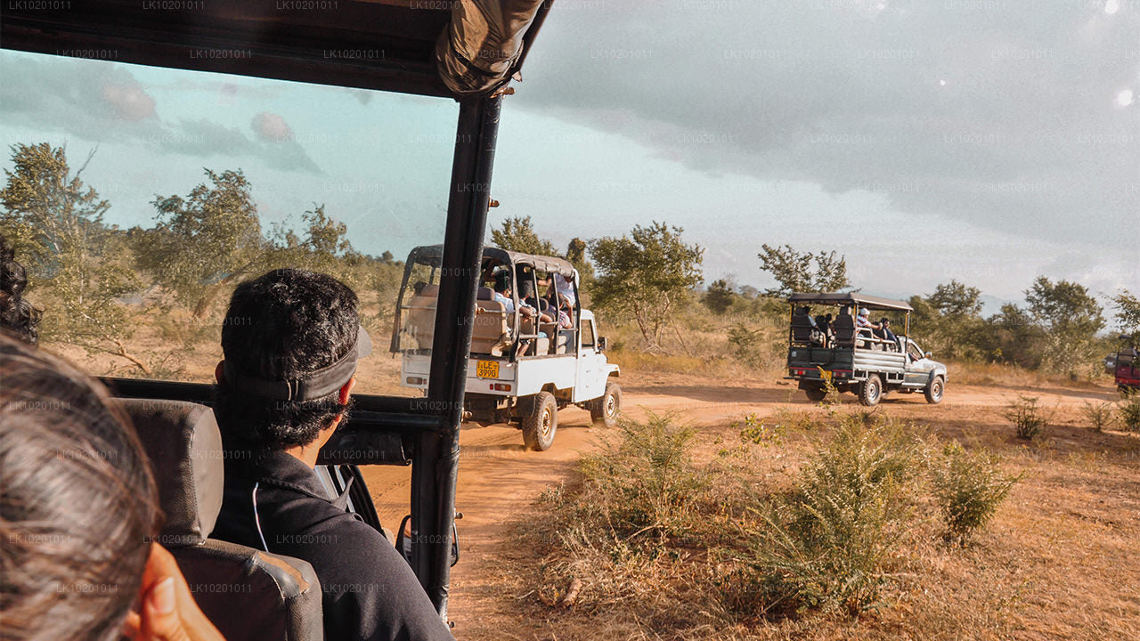 Udawalawe ja Galle Colombost (2 päeva)