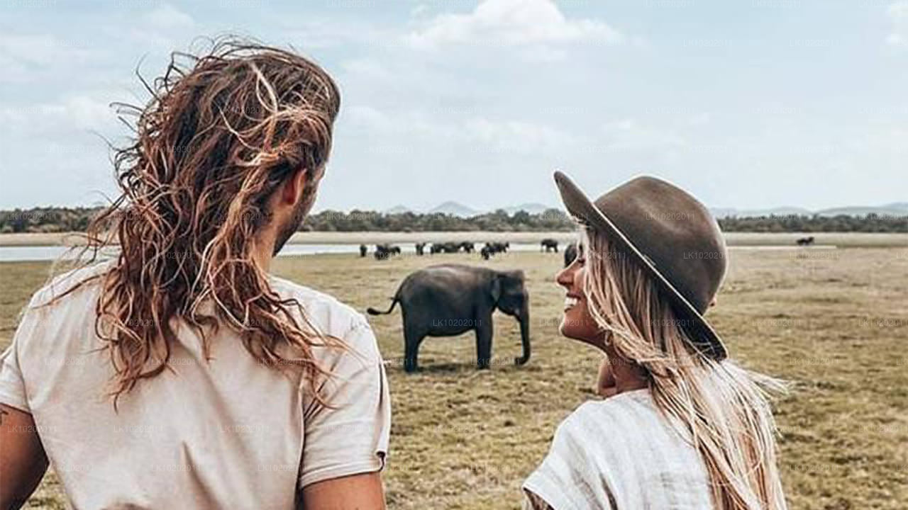 Sigiriya ja Minneriya Colombost (2 päeva)