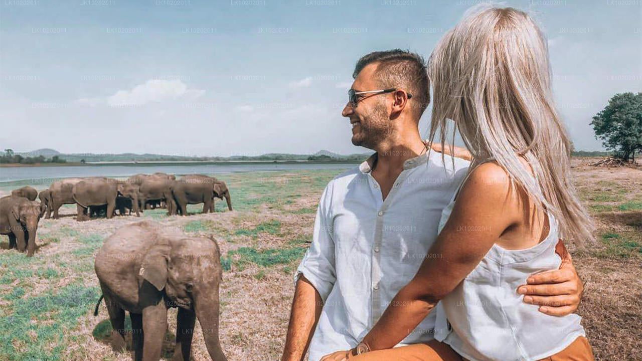 Sigiriya ja Minneriya Colombost (2 päeva)