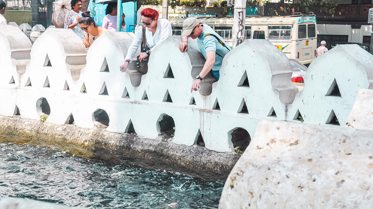 Mägede kultuur Colombost (2 päeva)