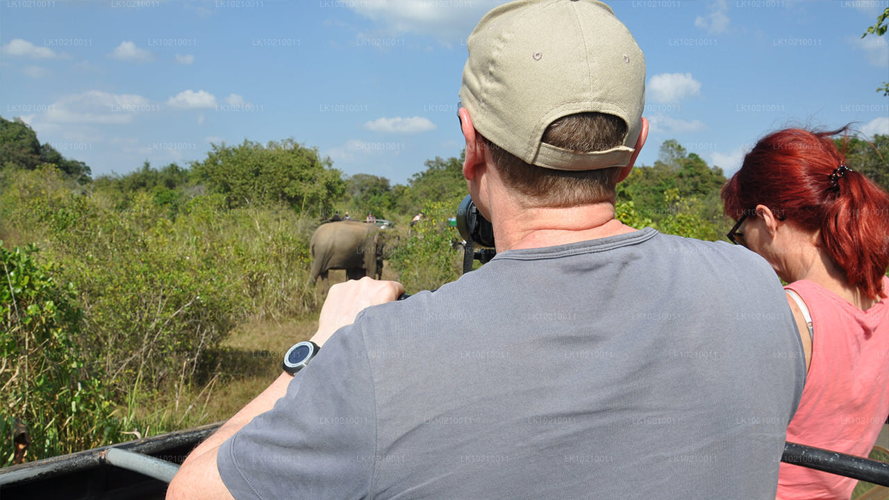 Looduse ja maailmapärandi tuur Galle'ist (2 päeva)