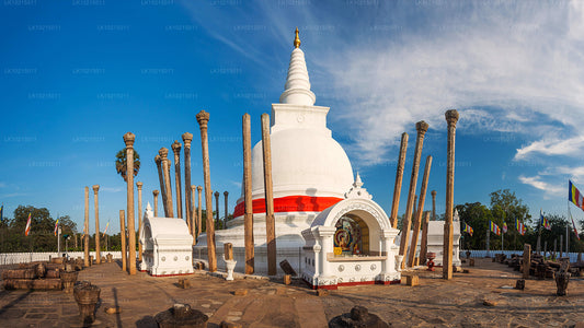 Metsikute imede ja pühade ruumide tuur Galle'ist (2 päeva)